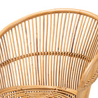 bali & pari Narva Modern Bohemian Natural Brown Rattan Accent Chair