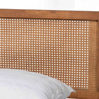 Baxton Studio Gardwin Mid-Century Modern Ash Walnut Finished Wood King Size Platform Bed