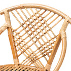 bali & pari Pro Modern Bohemian Natural Brown Rattan and Black Metal 2-Piece Dining Chair Set