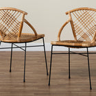 bali & pari Pro Modern Bohemian Natural Brown Rattan and Black Metal 2-Piece Dining Chair Set