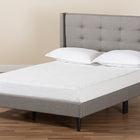 Baxton Studio Casol Mid-Century Modern Transitional Grey Fabric Upholstered Queen Size Platform Bed