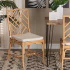 bali & pari Rio Modern Bohemian Natural Brown Rattan Dining Chair