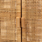 bali & pari Vivan Modern Bohemian Natural Brown Rattan and Mahogany Wood Storage Cabinet