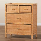 bali & pari Vaere Modern Bohemian Natural Brown Rattan and Mahogany Wood Storage Cabinet