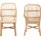 bali & pari Sumatera Modern Bohemian Natural Brown Rattan 2-Piece Dining Chair Set