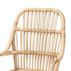 bali & pari Sumatera Modern Bohemian Natural Brown Rattan 2-Piece Dining Chair Set