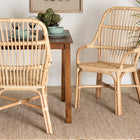 bali & pari Sumatera Modern Bohemian Natural Brown Rattan 2-Piece Dining Chair Set
