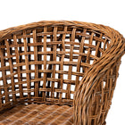 bali & pari Mario Modern Bohemian Natural Brown Finished Teak Wood and Rattan 2-Piece Dining Chair Set