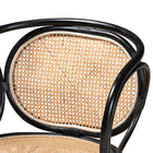 bali & pari Palesa Modern Bohemian Two-Tone Black and  Natural Brown Rattan Dining Chair