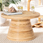bali & pari Bella Modern Bohemian Natural Rattan and Mahogany Wood Coffee Table 