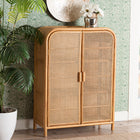 bali & pari Curacao Modern Bohemian Light Honey Rattan 2-Door Storage Cabinet