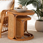 bali & pari Eldon Bohemian Honey Rattan 2-Piece Nesting End Table Set