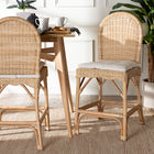 bali & pari Bilu Bohemian Natural Rattan 2-Piece Counter Stool Set
