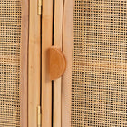 bali & pari Evania Bohemian Natural Rattan 3-Door Storage Cabinet