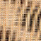 bali & pari Evania Bohemian Natural Rattan 3-Door Storage Cabinet