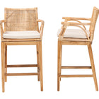 bali & pari Storsel Bohemian Natural Rattan and Teak Wood 2-Piece Counter Stool Set
