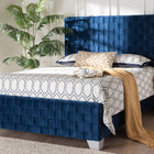 Baxton Studio Emlyn Glam and Luxe Navy Blue Velvet Fabric Queen Size Panel Bed