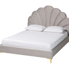 Baxton Studio Acosta Glam and Luxe Light Grey Velvet Seashell-Headboard Queen Size Platform Bed