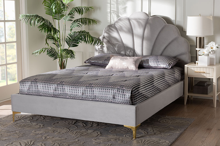Baxton Studio Acosta Glam and Luxe Light Grey Velvet Seashell-Headboard Queen Size Platform Bed