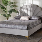 Baxton Studio Acosta Glam and Luxe Light Grey Velvet Seashell-Headboard Queen Size Platform Bed
