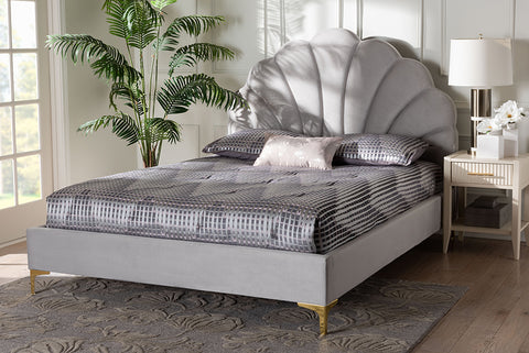 Baxton Studio Acosta Glam and Luxe Light Grey Velvet Seashell-Headboard Queen Size Platform Bed