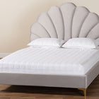 Baxton Studio Acosta Glam and Luxe Light Grey Velvet Seashell-Headboard Queen Size Platform Bed