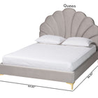 Baxton Studio Acosta Glam and Luxe Light Grey Velvet Seashell-Headboard Queen Size Platform Bed