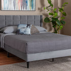 Baxton Studio Payne Modern Glam Grey Velvet and Dark Brown Wood Queen Bed