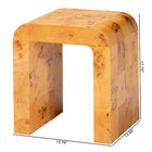 bali & pari Revelle Modern and Contemporary Natural Light Mappa Real Burl Wood End Table