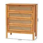 Baxton Studio Jenn Golden Brown Wood Japandi 4-Drawer Chest with Distressed-Finished Rattan