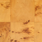 bali & pari Netra Modern and Contemporary Natural Real Burl Wood 6-Drawer Dresser