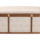 Baxton Studio Brenner Modern Transitional Beige Faux Shagreen Storage Trunk