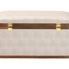 Baxton Studio Brenner Modern Transitional Beige Faux Shagreen Storage Trunk