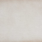 Baxton Studio Nevio Vintage Weathered White Canvas Storage Trunk