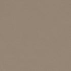 Zuo Ruge Dining Chair (Set of 2) Beige