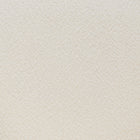 Zuo Essen Dining Chair Ivory