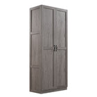Manhattan Comfort Cornelia Modern 2-Piece Wardrobe Closet in Gray