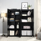 Manhattan Comfort Hopkins Modern 2-Piece Wardrobe Closet in Black
