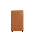 Manhattan Comfort Anna Square Modern Vegan Leather Dining Chair in Saddle Brown - Set of 2