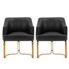 Manhattan Comfort Raya Modern Vegan Leather Wood Dining Chair in Black - Set of 2