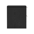 Manhattan Comfort Grace Modern 28" Nightstand in Black and Gold (2-Drawer) - Set of 2