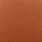 Zuo Keppel Swivel Dining Chair (Set of 2) Brown