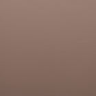 Zuo Peker Dining Chair (Set of 2) Brown & Natural