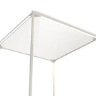Zuo Zuo Chair Display Light Gray