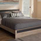 Baxton Studio Jamie Modern and Contemporary Two-Tone Oak and Grey Wood Queen Size Platform Bed