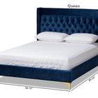 Baxton Studio Valery Modern and Contemporary Navy Blue Velvet Fabric Upholstered Queen Size Platform Bed with Gold-Finished Legs