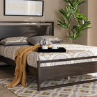 Baxton Studio Inicio Modern and Contemporary Charcoal Brown Finished Wood Queen Size Platform Bed