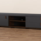 Baxton Studio Rikke Modern and Contemporary Two-Tone Gray and Walnut Finished Wood 2-Drawer TV Stand