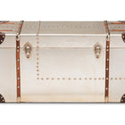 Baxton Studio Bechet French Industrial Silver Metal Storage Trunk