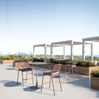 Zuo Rio Barstool (Set of 2) Brown